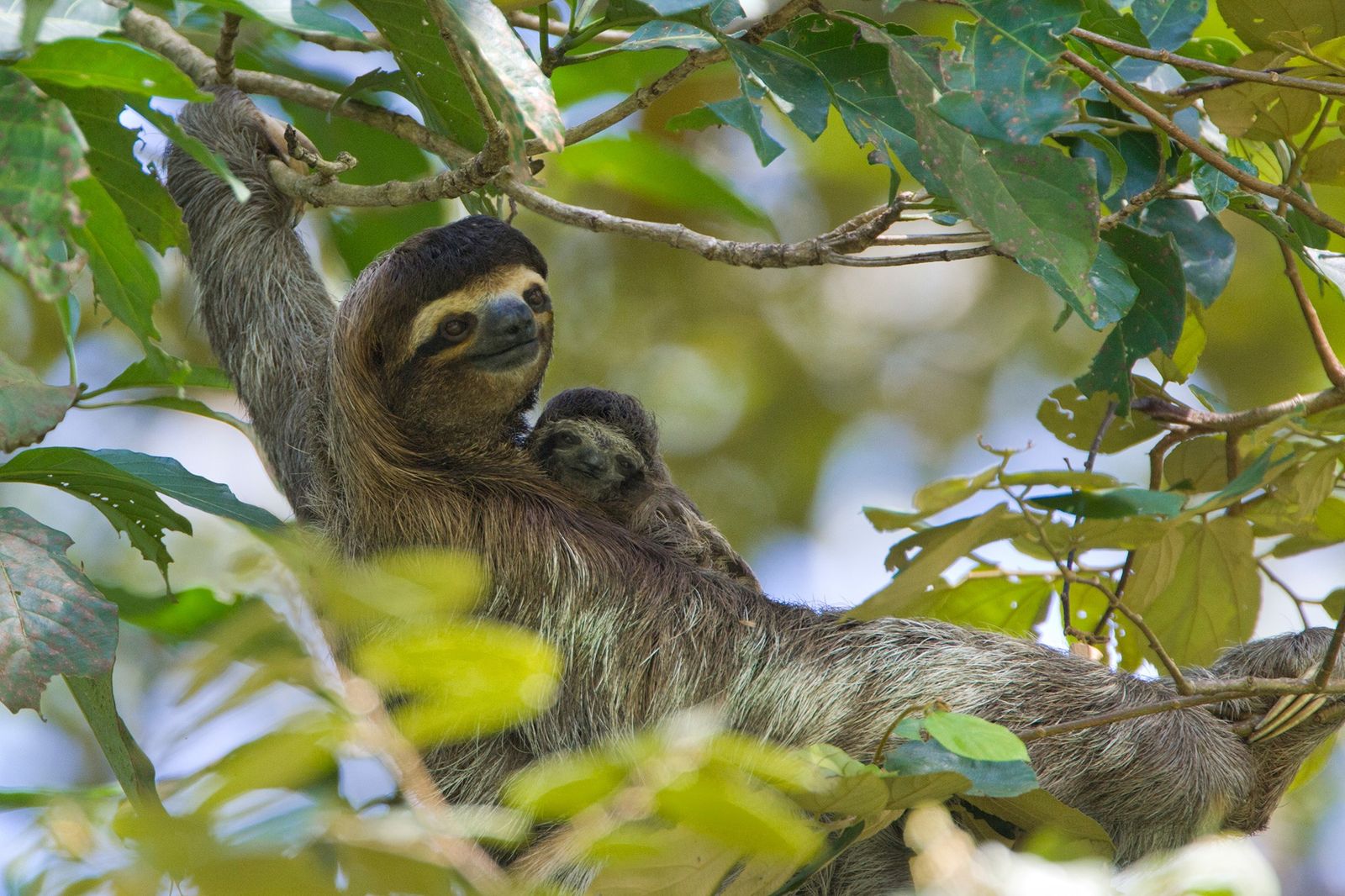Nature & Wildlife Tours