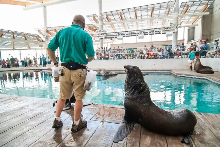 Boston: New England Aquarium Skip-the-Line Entry Ticket