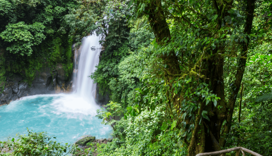 How Slowy Travel Agency Turns Costa Rica into a Living Classroom for Climate AwarenessPure Luxe in Punta Mita the original contained