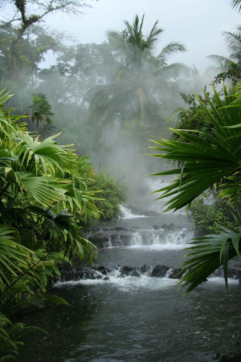 Baldi Hot Springs Hotel Resort & Spa — Arenal Volcano - photo 4