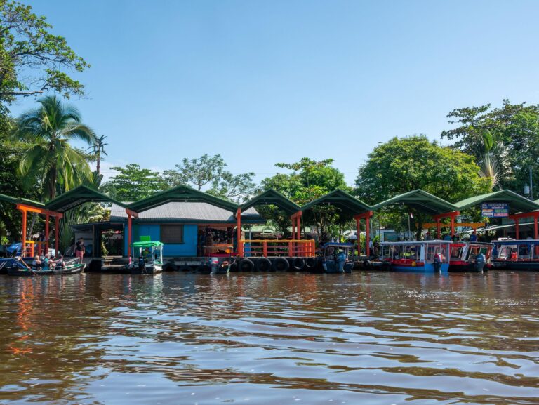 Tortuguero Canals Tour — The Amazon of Costa Rica - photo 5