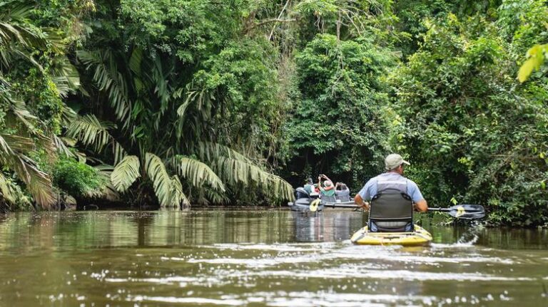 Tortuguero Canals Tour — The Amazon of Costa Rica - photo 4