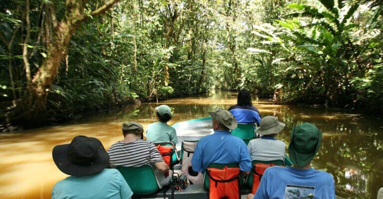 Tortuguero Canals Tour — The Amazon of Costa Rica - photo 3
