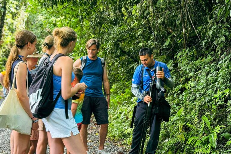Manuel Antonio National Park Tour - photo 3