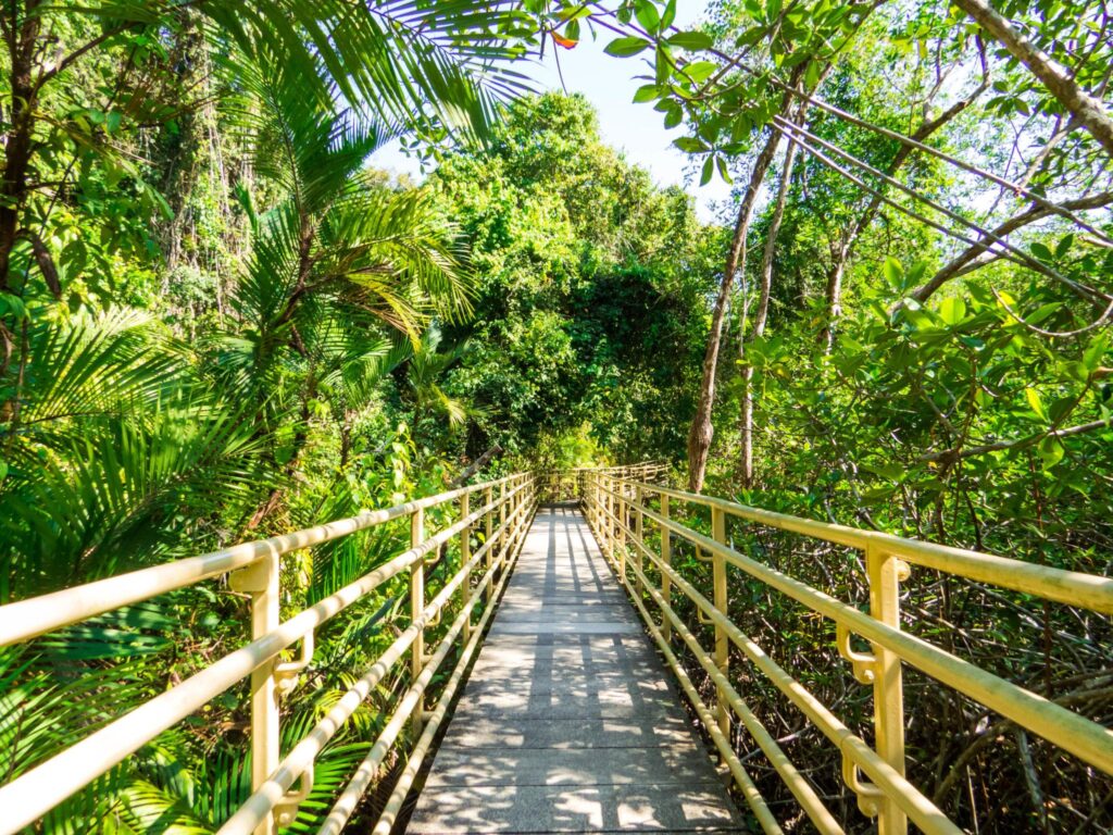 Manuel Antonio National Park Tour