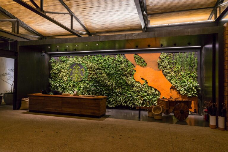 Hacienda Alsacia — Starbucks Coffee Farm Tour - photo 4
