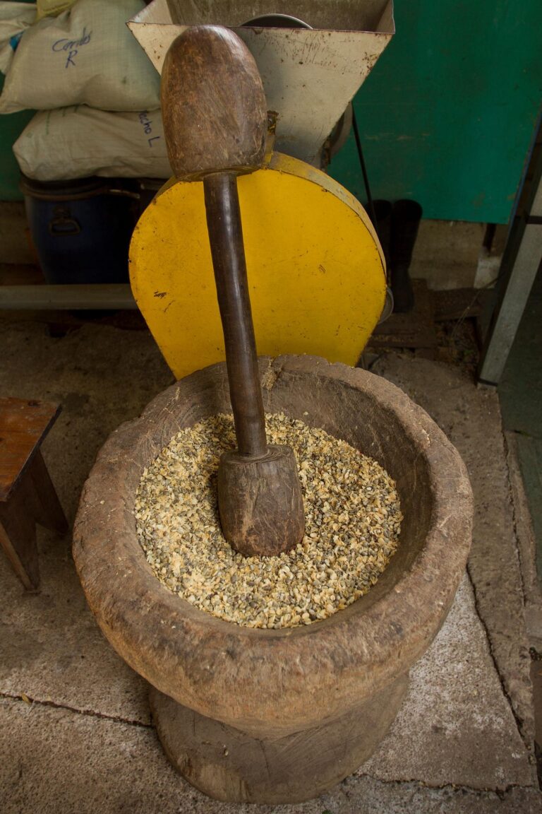 Doka Estate Coffee Tour & Poás Volcano - photo 4