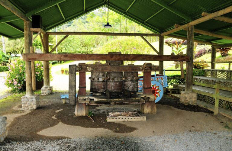 Doka Estate Coffee Tour & Poás Volcano - photo 3