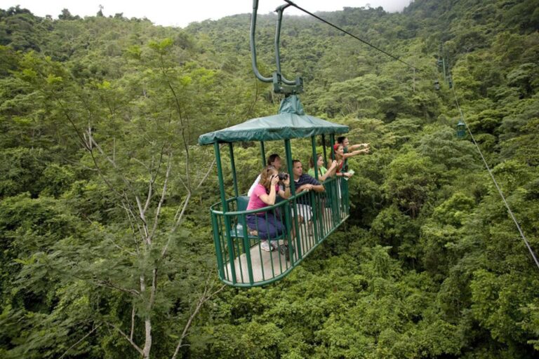 Monteverde Hanging Bridges & Sky Tram Tour - photo 4
