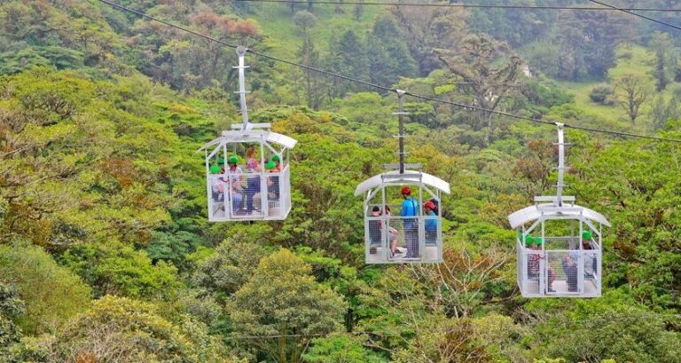 Monteverde Hanging Bridges & Sky Tram Tour - photo 3