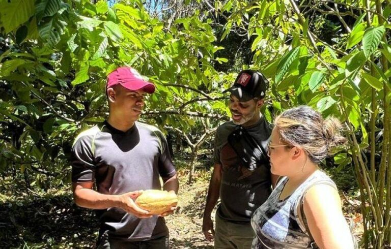 Cacao + Bribri culture + nature + wellness + gentle adventure - photo 2