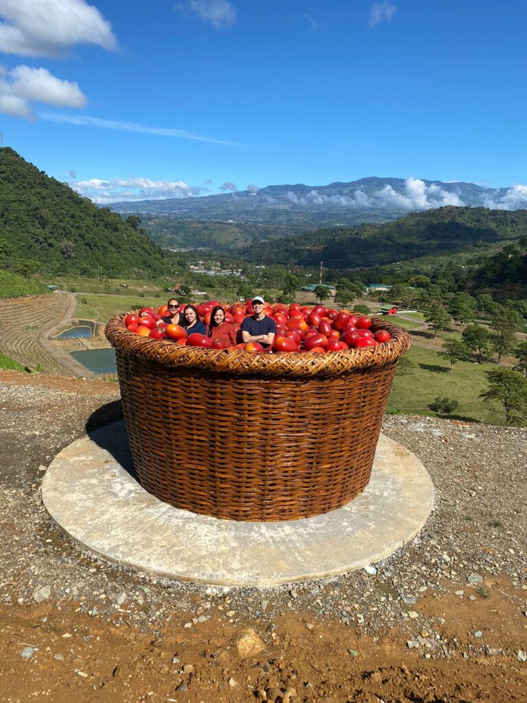 Hacienda Orosi Coffee Tour - photo 4